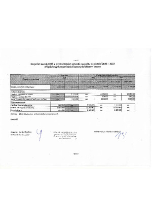 Rozpočet 2025 a střednědobé výhledy rozpočtů 2026-2027